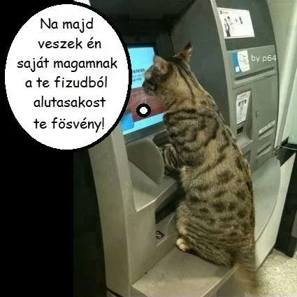 #VK1764617405