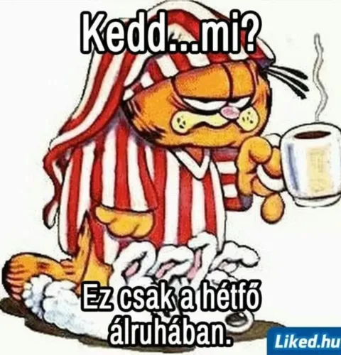 #VK1764655027