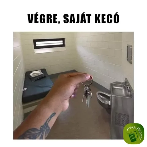 Végre, saját kecó...