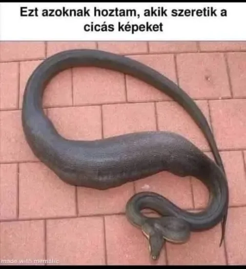 #VK1764937917