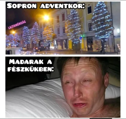 #VK1765378728