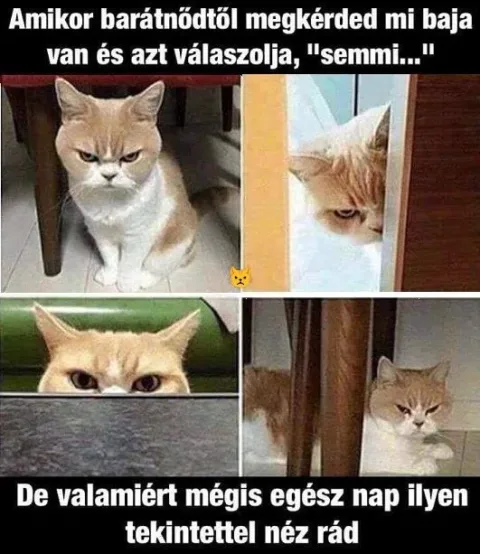 #VK1765534248