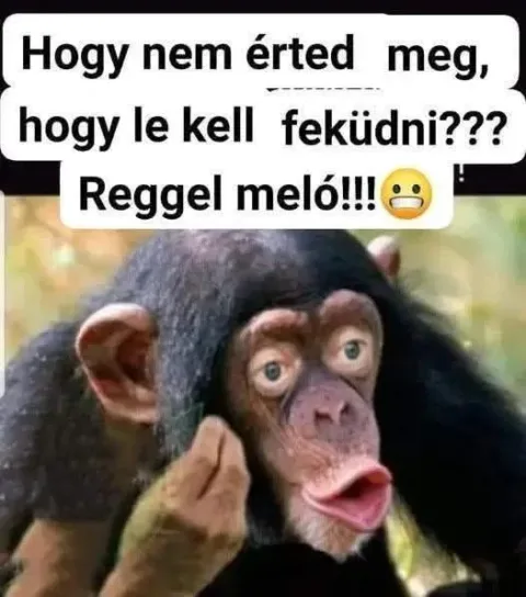#VK1765744765