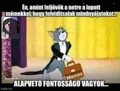 Én, amint feljövök a netre a lopott mémekkel...