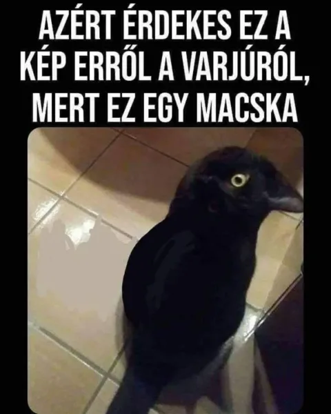 #VK1766067742