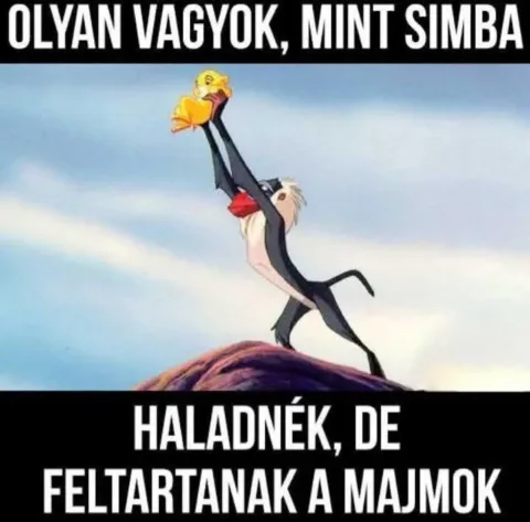 #VK1766088838