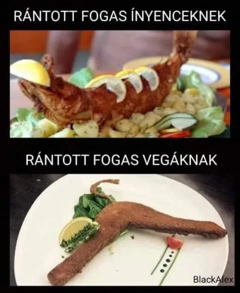 #VK1766314134 #VK1766314134