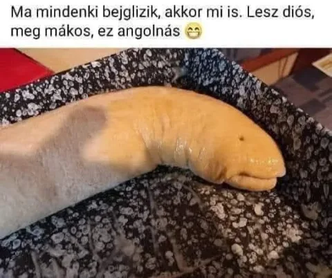 #VK1766595737
