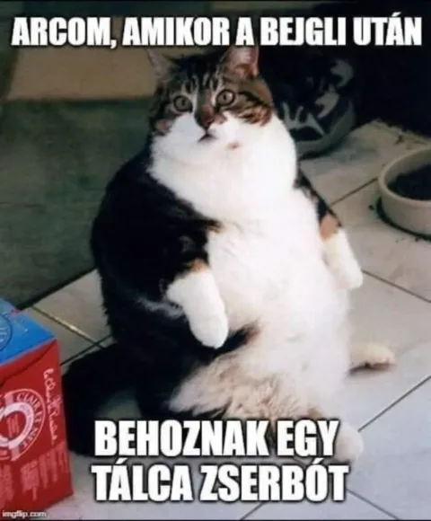 #VK1766690098