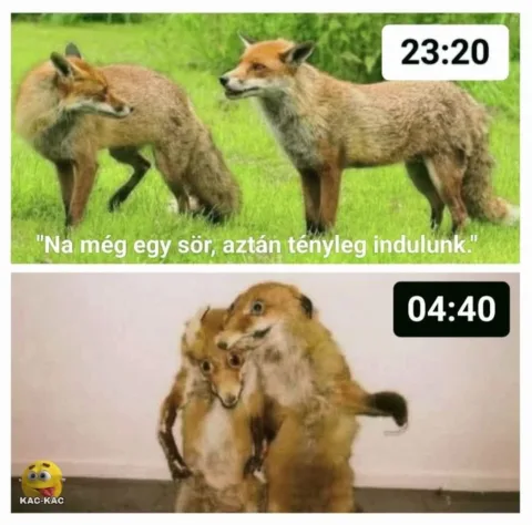 #VK1766732602
