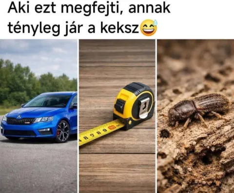 #VK1766762223