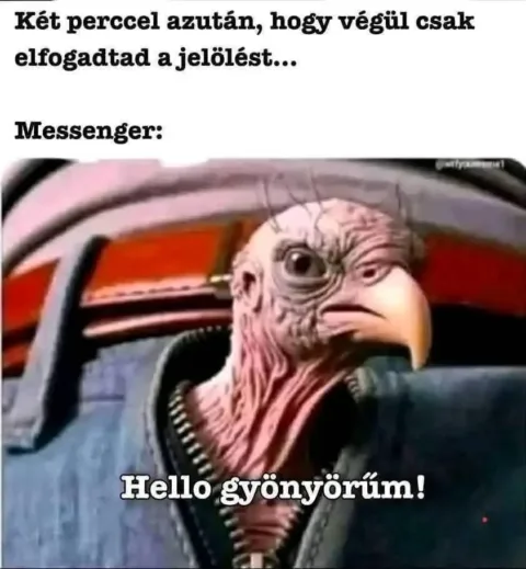 #VK1766818088