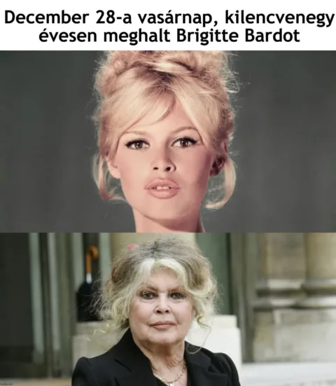 #VK1766921100