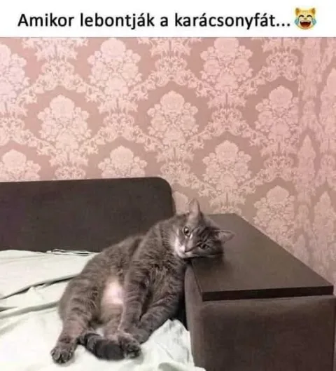 #VK1767002843