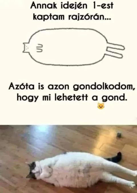 #VK1767088402