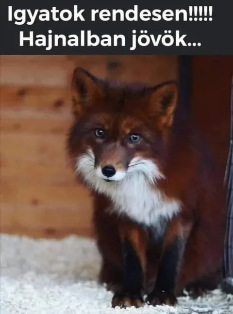 #VK1767186707