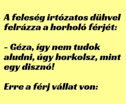 Vicc: A feleség irtózatos dühvel felrázza a horkoló férjét: – TUDNOD…