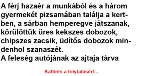 Vicc: A férj hazaér a munkából