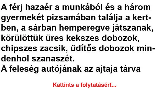 Vicc: A férj hazaér a munkából Vicc: A férj hazaér a munkából