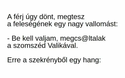 Vicc: A férj úgy dönt, megtesz a feleségének egy nagy vallomást -…