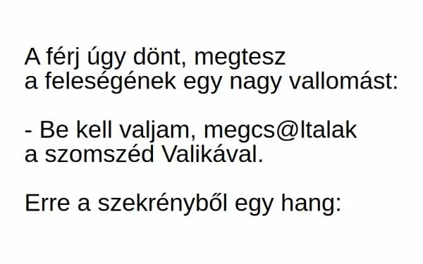 Vicc: A férj úgy dönt, megtesz a feleségének egy nagy Vicc: A férj úgy dönt, megtesz a feleségének egy nagy vallomást -…