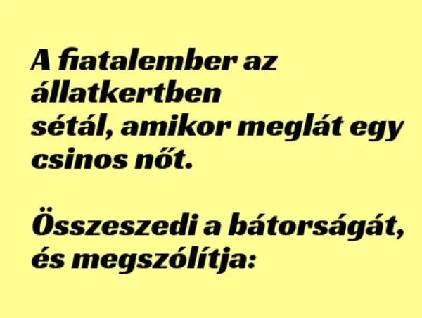 Vicc: A fiatalember az állatkertben sétál, amikor meglát egy csinos... Vicc: A fiatalember az állatkertben sétál, amikor meglát egy csinos…