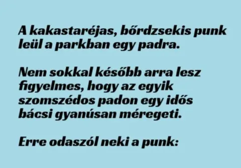 Vicc: A kakastaréjas, bőrdzsekis punk leül a parkban egy padra -…