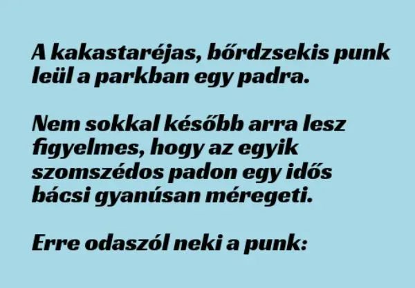 Vicc: A kakastaréjas, bőrdzsekis punk leül a parkban egy padra Vicc: A kakastaréjas, bőrdzsekis punk leül a parkban egy padra -…