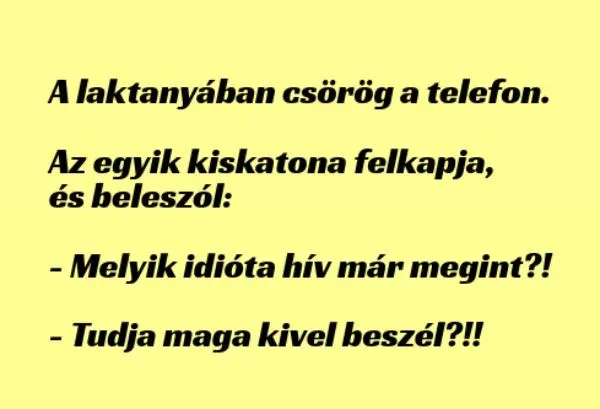 Vicc: A laktanyában csörög a telefon. Az egyik kiskatona felkapja Vicc: A laktanyában csörög a telefon. Az egyik kiskatona felkapja -…
