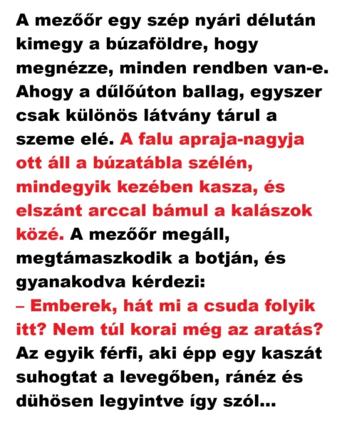 Vicc: A mezőőr egy szép nyári délután kimegy a búzaföldre