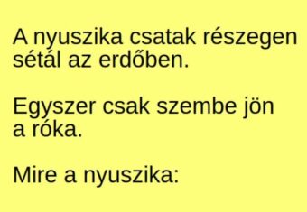 Vicc: A nyuszika csatak részegen sétál az erdőben –