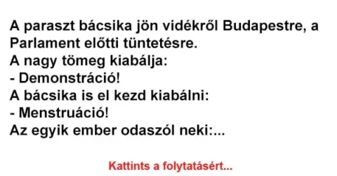 Vicc: A paraszt bácsika jön vidékről Budapestre Vicc: A paraszt bácsika jön vidékről Budapestre