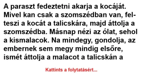 Vicc: A paraszt fedeztetni akarja a kocáját