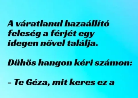 Vicc: A váratlanul hazaállító feleség a férjét egy idegen - Vicc: A váratlanul hazaállító feleség a férjét egy idegen – TUDNOD…