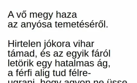 Vicc: A vő megy haza az anyósa temetéséről –