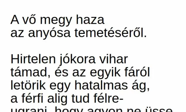 Vicc: A vő megy haza az anyósa temetéséről - Vicc: A vő megy haza az anyósa temetéséről –