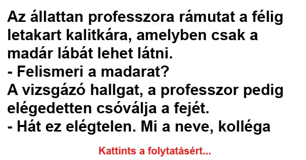 Vicc: Az állattan professzora rámutat a félig letakart kalitkára Vicc: Az állattan professzora rámutat a félig letakart kalitkára