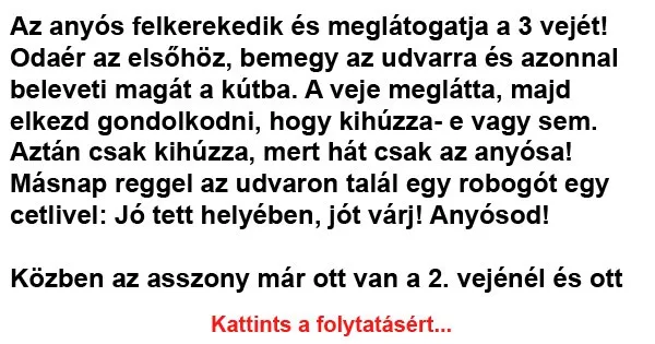 Vicc: Az anyós felkerekedik és meglátogatja a 3 vejét! Vicc: Az anyós felkerekedik és meglátogatja a 3 vejét!