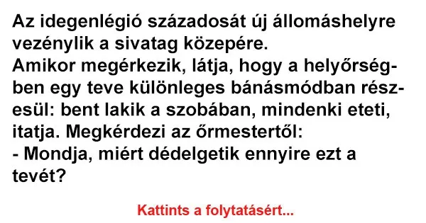 Vicc: Az idegenlégió századosát új állomáshelyre vezénylik a sivatag... Vicc: Az idegenlégió századosát új állomáshelyre vezénylik a sivatag…