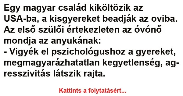 Vicc: Egy magyar család kiköltözik az USA-ba, a kisgyereket beadják Vicc: Egy magyar család kiköltözik az USA-ba, a kisgyereket beadják az oviba