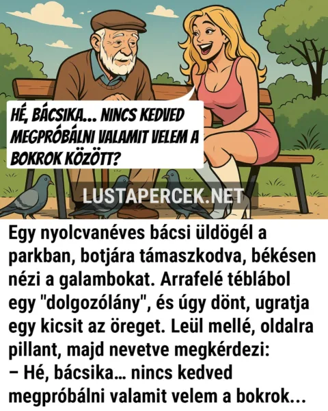 Vicc: Egy nyolcvanéves bácsi üldögél a parkban