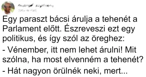 Vicc: Egy paraszt bácsi árulja a tehenét Vicc: Egy paraszt bácsi árulja a tehenét