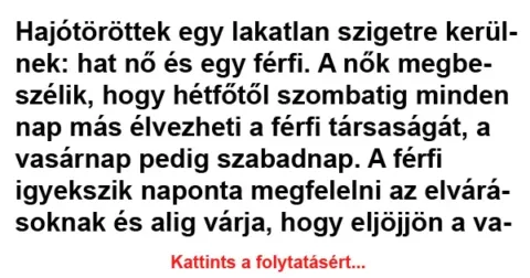 Vicc: Hajótöröttek egy lakatlan szigetre kerülnek