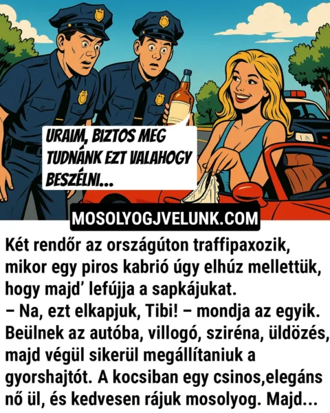 Vicc: Két rendőr az országúton traffipaxozik