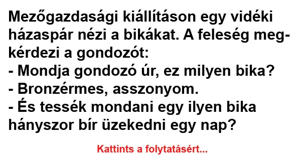 Vicc: Mezőgazdasági kiállításon egy vidéki házaspár nézi a bikákat Vicc: Mezőgazdasági kiállításon egy vidéki házaspár nézi a bikákat