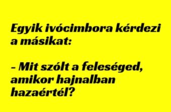 Vicc: Mit szólt a feleséged, amikor hajnalban hazaértél? –