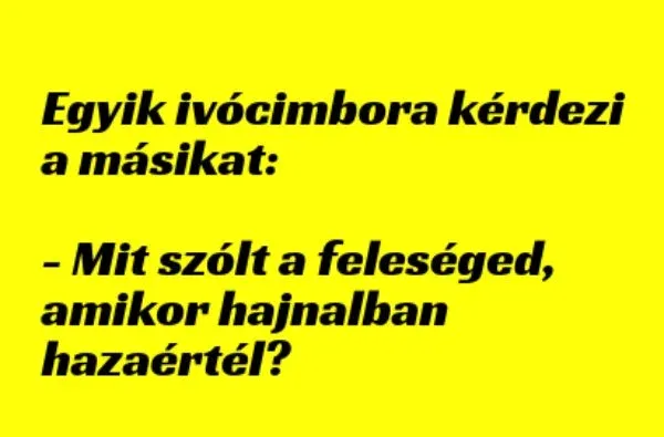 Vicc: Mit szólt a feleséged, amikor hajnalban hazaértél? - Vicc: Mit szólt a feleséged, amikor hajnalban hazaértél? –