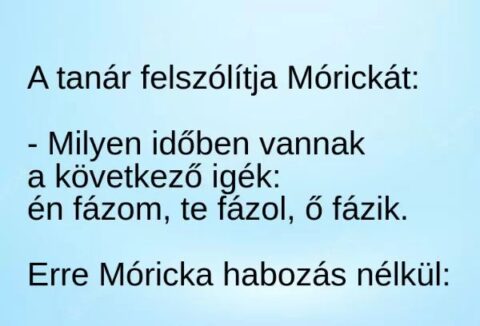 Vicc: Mórickát nem lehet zavarba hozni –