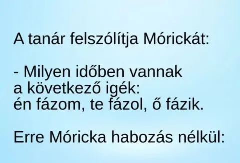 Vicc: Mórickát nem lehet zavarba hozni –