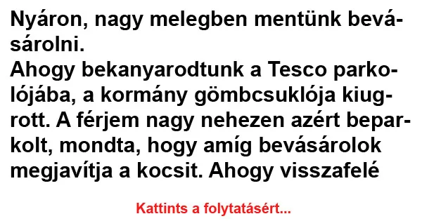 Vicc: Nyáron, nagy melegben mentünk bevásárolni Vicc: Nyáron, nagy melegben mentünk bevásárolni